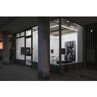 DOROTHÉE NILSSON GALLERY logo - Similar company to Master Drawings New York