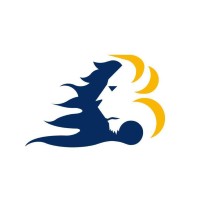 LeoGraf logo - Similar company to Corcivsa
