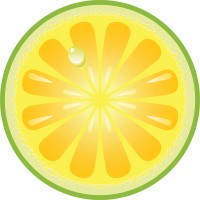 Green Tangerine Design logo - Similar company to Level Studio Inc