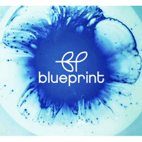 blueprint logo - Similar company to Mei Shual Cosmetics
