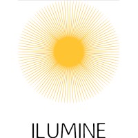 Instituto Ilumine logo - Similar company to Einstein Center For Neurosciences Berlin