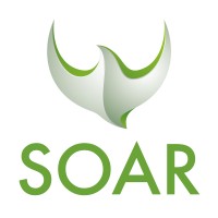 SOAR Solutions logo - Similar company to Douglas-Guardian Services Corporation