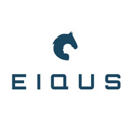 Eiqus ® logo - Similar company to Ectropy