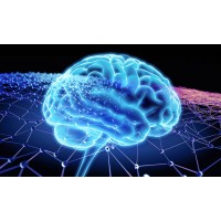 Great Brains Solutions logo - Similar company to Great Brains Pty