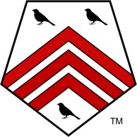 SingTone Technologies logo - Similar company to Blue Dog Media Group