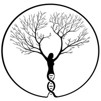Embla Consult logo - Similar company to Embla Fund Management Ag