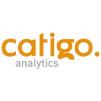 Catigo Analytics logo - Similar company to Taskmind Ai