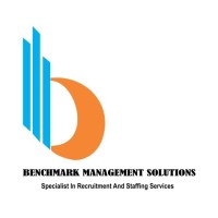 Benchmark Management Solutions logo - Similar company to Polygonweb