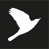 Silver Age Capital logo - Similar company to Ukrainian Agency For Debt Restructuring”