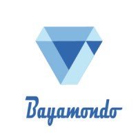 BayaMondo logo - Similar company to Dynamic Minds