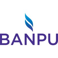 BANPU Public Company Limited logo - Similar company to Eviny Ventures