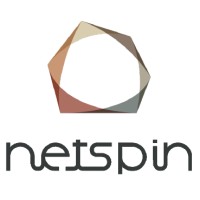 Netspin SRL logo - Similar company to Nexsys