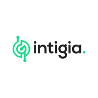 Intigia logo - Similar company to Carmetry