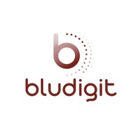 Blu Digit logo - Similar company to Parcia