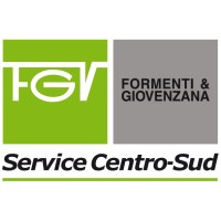 FGV Service CentroSud srl logo - Similar company to Arbomedia