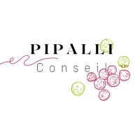 Pipalli Conseil logo - Similar company to Impulsion - Entreprendre & Innover Avec L'Ia