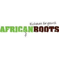 African Roots B.V. logo - Similar company to Netblocks