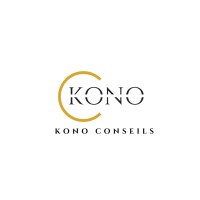 kono conseils logo - Similar company to Vision'Ère Immo