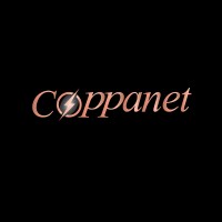 Coppanet Ltd logo - Similar company to Arshil Group