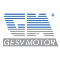 GESV MOTOR SRL logo - Similar company to Nsinformatica