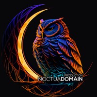 NoctuaDomain Production logo - Similar company to Connect Animation Studio