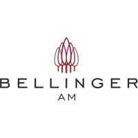 Bellinger Asset Management logo - Similar company to Pulsar Aero Global