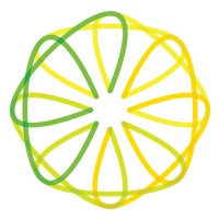 Lemon and Lime Digital logo - Similar company to Three Dashes Agency