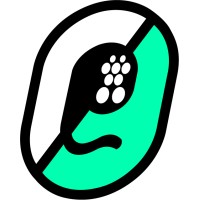 ROADGRID logo - Similar company to Coexlion