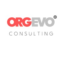 OrgEvo Consulting Pvt. Ltd. logo - Similar company to Go Technosys