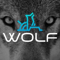 Grupo Wolf logo - Similar company to Leanswitch