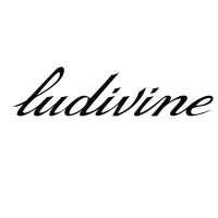 Boutique Ludivine logo - Similar company to Nunchi