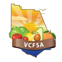 VCFSA logo - Similar company to Bits Kingdom