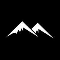 Paramount Vista National Land Services logo - Similar company to Wellrive