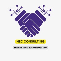 NEC CONSULTING logo - Similar company to Nec Consulting