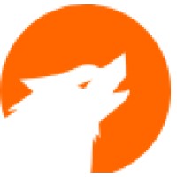 Wolfmatrix logo - Similar company to Responsive Pixel Pvt. Ltd.