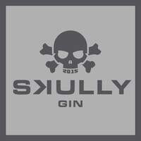 SKULLY GIN logo - Similar company to Maaltijden Tegen Armoede