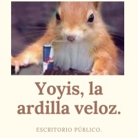 Vivero y Herbolaria Yoyis, la ardilla veloz logo - Similar company to Herbolaria
