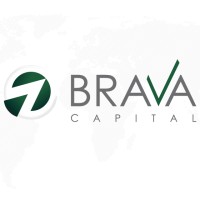 Brava Capital logo - Similar company to Alkin Research