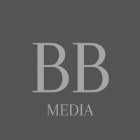 Bokneberg Media logo - Similar company to Avana Ventures