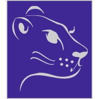Good Lioness logo - Similar company to Early Match