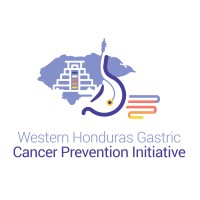 Western Honduras Gastric Cancer Prevention Initiative logo - Similar company to Lisalud