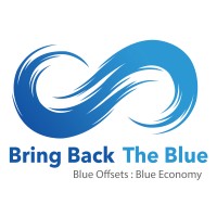 Bring Back The Blue logo - Similar company to Blue Capital, Llc