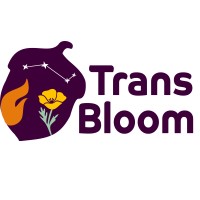 Trans Bloom logo - Similar company to Sincere Wealth Solutions