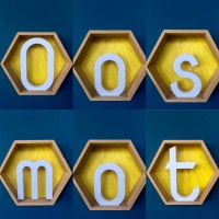 Oosmot logo - Similar company to Empowermotion