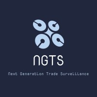 NGTS Digital logo - Similar company to Whanalytics Ab