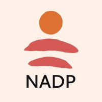 National Association of Disability Practitioners (NADP) CIC logo - Similar company to Eqs Disability Support (Learning Labs, Amano, The Educational Guidance Service, Eql And Invate)