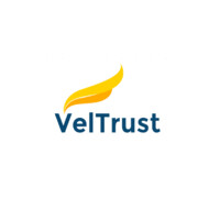 Veltrust logo - Similar company to Nicho