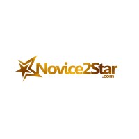 Novice2STAR logo - Similar company to Sketchcut Furniture