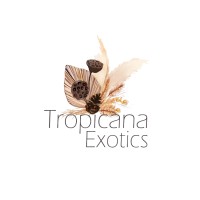 Tropicana Exotics logo - Similar company to World Dried Flowers