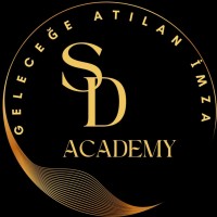 SD Academy logo - Similar company to Sd Academia